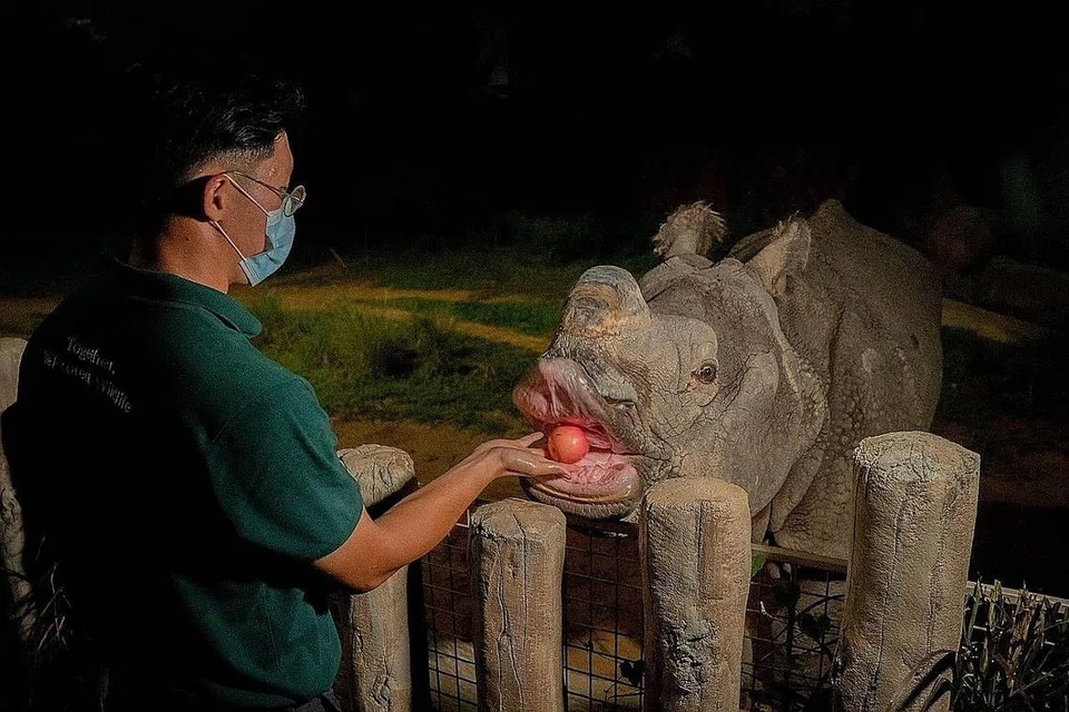 BERI MAKANAN: Badak sumbu India di Taman Safari Malam. - Foto KUMPULAN HIDUPAN LIAR MANDAI (MWG) 