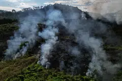Brazil berharap dana lestari hutan itu akan mewujudkan aliran pendapatan jangka panjang sebagai alternatif kepada negara-negara tropika yang menebang hutan untuk keuntungan ekonomi.