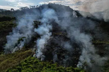 Brazil berharap dana lestari hutan itu akan mewujudkan aliran pendapatan jangka panjang sebagai alternatif kepada negara-negara tropika yang menebang hutan untuk keuntungan ekonomi.