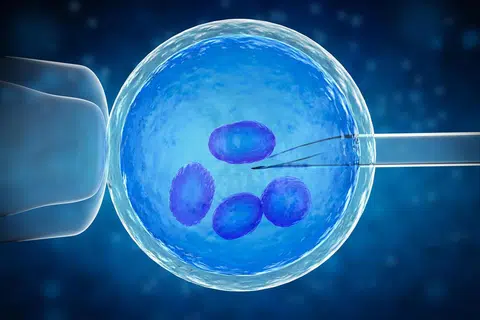 ISU KESUBURAN DAN RISIKO KOMPLIKASI KEHAMILAN: Menurut doktor, kadar kejayaan rawatan IVF bagi wanita dalam peringkat usia 45 tahun ke atas sangat rendah kerana kesuburan wanita merosot mengikut usia. 