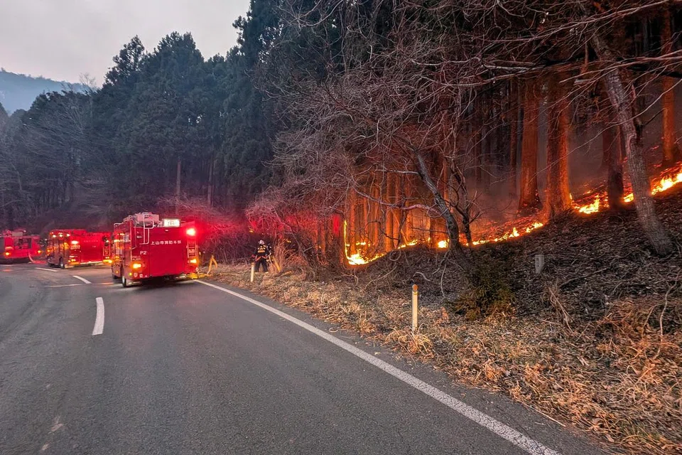 Foto edaran yang disediakan oleh Agensi Pengurusan Kebakaran dan Bencana pada 3 Mac 2025 menunjukkan anggota bomba sedang berusaha memadam kebakaran hutan di Ofunato, Prefektur Iwate, timur laut Jepun, pada 2 Mac 2025 (dikeluarkan pada 3 Mac 2025). Kebakaran hutan yang bermula pada 26 Februari di bandar pesisir Ofunato terus merebak, dengan jumlah kawasan yang telah terbakar meningkat kepada sekurang-kurangnya 2,100 hektar, menurut Kerajaan wilayah Iwate.