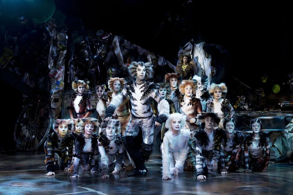 SEKAWAN KUCING: Muzikal Cats membawa anda menyelami dunia kucing yang juga memperjuangkan hak dan mencari kebahagiaan dalam hidup. - Foto CATS TOUR PHOTOGRAPHY BY ALLESANDRO PINNA
