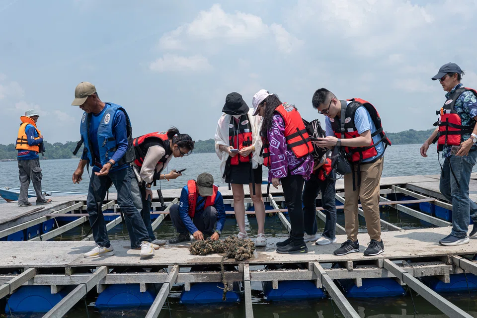Wakil syarikat pelancongan Singapura dibawa melihat pusat penternakan kupang di Kampung Sungai Melayu. Penternakan kupang ini dijalankan bagi menambah pendapatan sampingan golongan nelayan di Kampung Sungai Melayu.