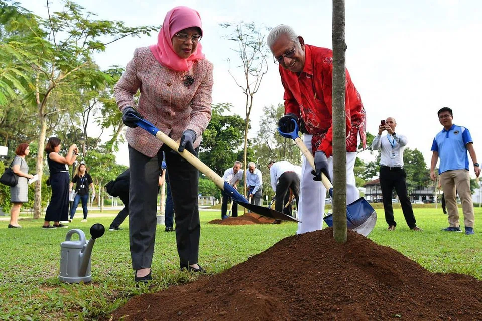 LEBIH HIJAU: Presiden Halimah Yacob (kiri) menanam pokok semarkat api bersama Pengerusi Persatuan Penduduk Estet Seletar Hills (Shera), Encik Percival Jeyapal, di pelancaran program Tanam-Sebatang - Pokok di bawah Dana Bandar Taman NParks kelmarin. - Foto BH oleh CHONG JUN LIANG