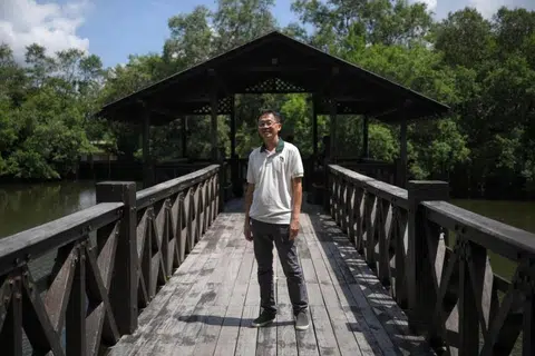 Pengarah Kumpulan Pengurusan Hidupan Liar, Lembaga Taman Negara (NParks), Encik How Choon Beng, di Paya Simpanan Sungei Buloh, pada 13 Jun 2025.