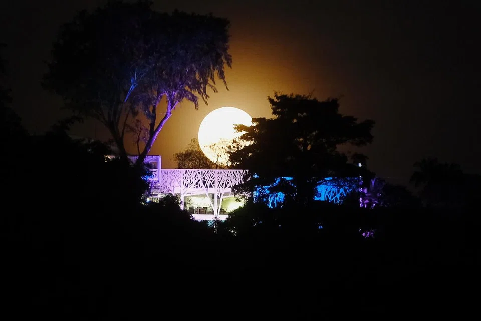 CMG20240325-ChungKS01/SINGAPORE: It may not have the most appealing of names, but the Worm Moon is still set to beautify the night sky on Monday (Mar 25).

Although technically known as a micromoon - the opposite of a supermoon, according to a NASA guide to the night sky - it will still appear full and large to stargazers.

Worm Moon appearing behind Mt Faber cable car station [Telok Blangah]