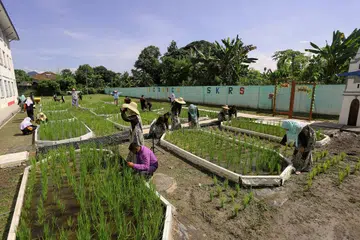 TANAM PADI DI SEKOLAH BANDAR: Tenaga pengajar dan murid-murid yang terlibat menjayakan projek penanaman padi di Sekolah Kebangsaan Rapat Setia, Ipoh.