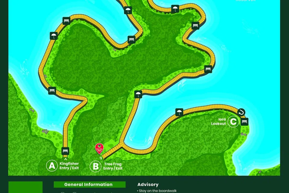 Mandai Boardwalk boleh diakses dari Mandai Wildlife East dan pintu masuk bersebelahan River Wonders dari 7 pagi hingga 7 malam setiap hari. 