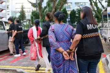 Warga asing yang didapati bersalah melakukan pekerjaan tanpa pas kerja yang sah boleh didenda sehingga $20,000, penjara sehingga dua tahun, atau kedua-duanya.