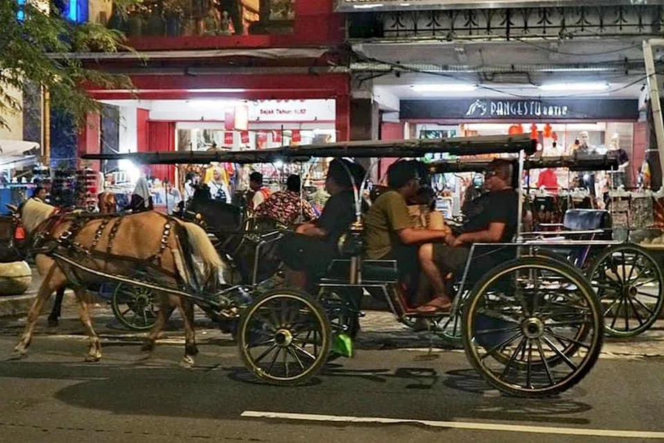 Khidmat kereta kuda untuk mengelilingi sekitar daerah Malioboro disediakan untuk para pelawat. 