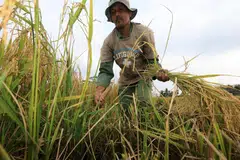 harga baja