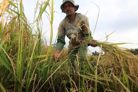 harga baja
