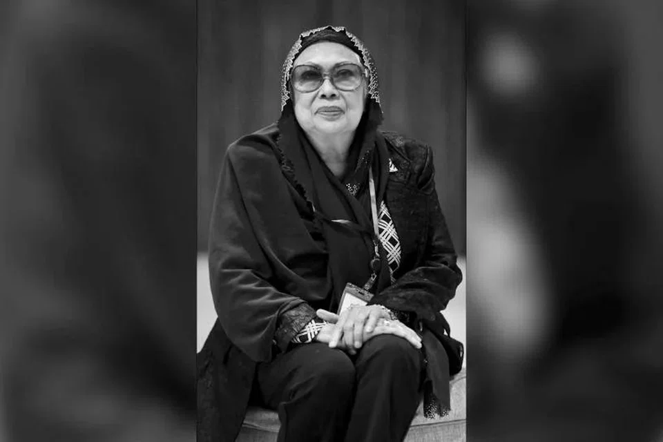Allahyarhamha Sophia Ibrahim berasal dari keluarga seni, dengan datuknya adalah penggiat bangsawan, Aman Belon, manakala dua adiknya adalah bintang 1970-an/1980-an terkenal, Allahyarham Latiff Ibrahim, dan Datuk Khadijah Ibrahim. Anaknya, Haireel, pula adalah daripada kumpulan Kool.