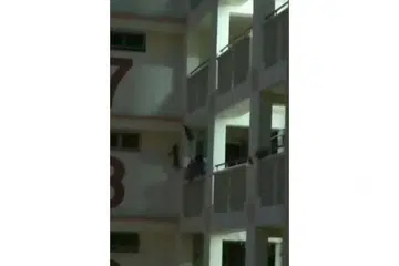 USAHA MENYELAMAT GAGAL: SPCA menerima panggilan kecemasan berhubung seekor kucing yang terperangkap di tingkat 11 sebuah flat HDB.
