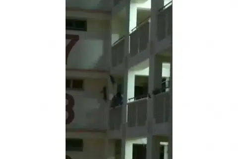 USAHA MENYELAMAT GAGAL: SPCA menerima panggilan kecemasan berhubung seekor kucing yang terperangkap di tingkat 11 sebuah flat HDB.