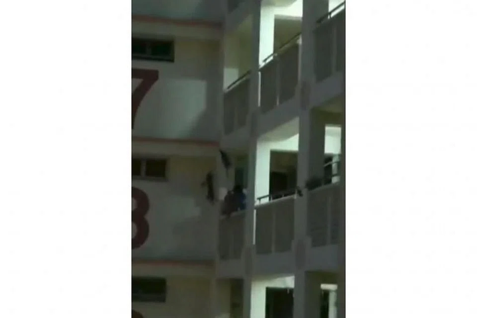USAHA MENYELAMAT GAGAL: SPCA menerima panggilan kecemasan berhubung seekor kucing yang terperangkap di tingkat 11 sebuah flat HDB.