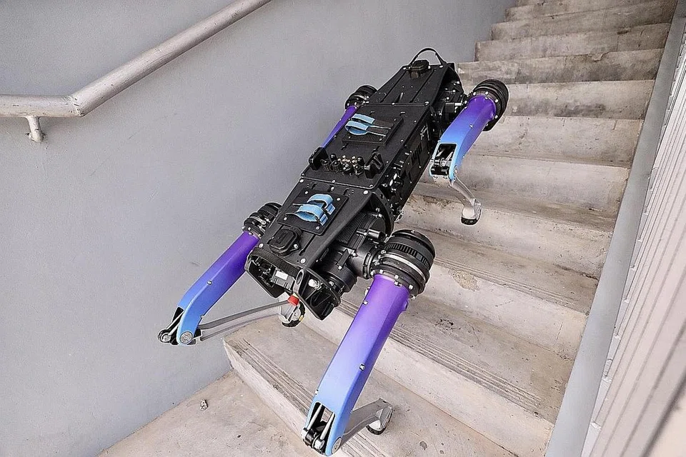 ROVER X MERONDA. - Foto LIANHE ZAOBAO