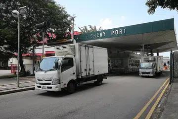 CETUS KEPRIHATINAN: MOH juga mendapati lebih banyak kes jangkitan Covid-19 melibatkan penjual ikan yang berkemungkinan terjangkit daripada kunjungan mereka ke Pelabuhan Perikanan Jurong. - Foto ZAOBAO