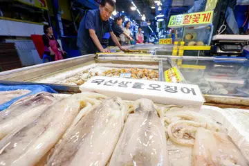 DIJAMIN SELAMAT: Seorang penjual sotong di pasar makanan laut di Seoul turut meletakkan sepanduk dengan kekata “ditangkap di perairan Korea Selatan” selepas Jepun melepaskan air radioaktif terawat daripada loji nuklear Fukushima yang telah ditutup.
