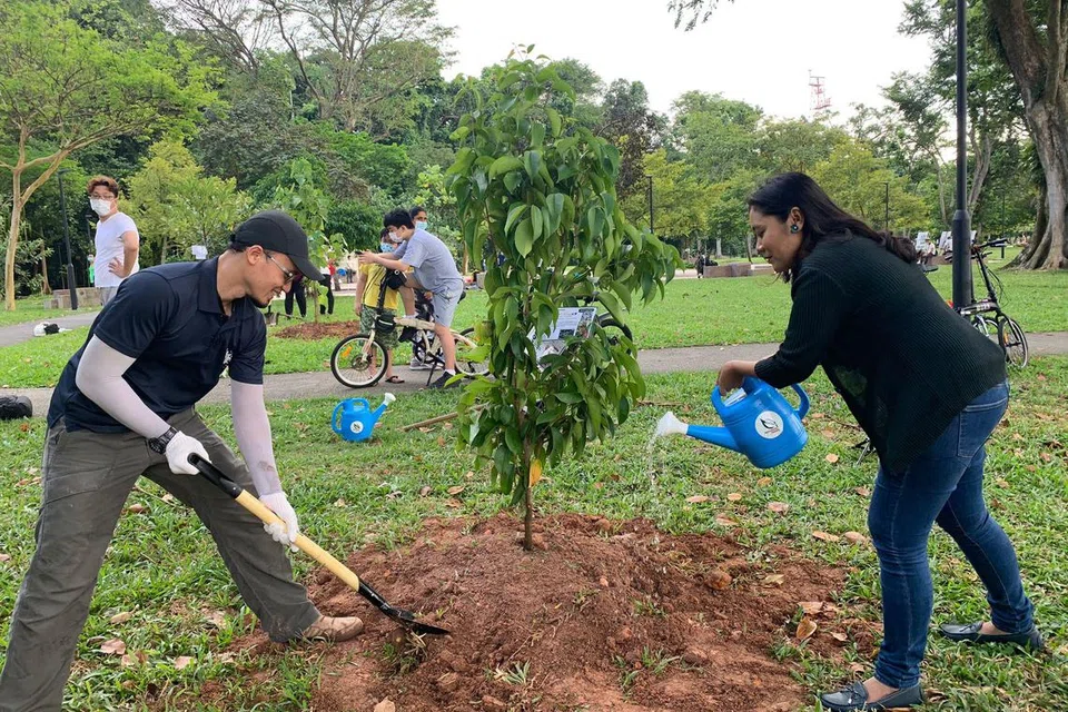 Singapura telah memulakan gerakan OneMillionTrees bertujuan mengembalikan kehijauan yang semakin hilang akibat kegiatan pembalakan, melalui penanaman satu juta pohon di seluruh pulau menjelang 2030.