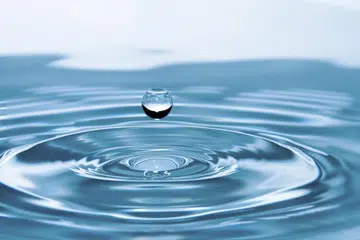 Titik, atau titisan, air adalah antara pelbagai penggunaan perkataan ‘titik’ dalam pelbagai konteks dan makna. 