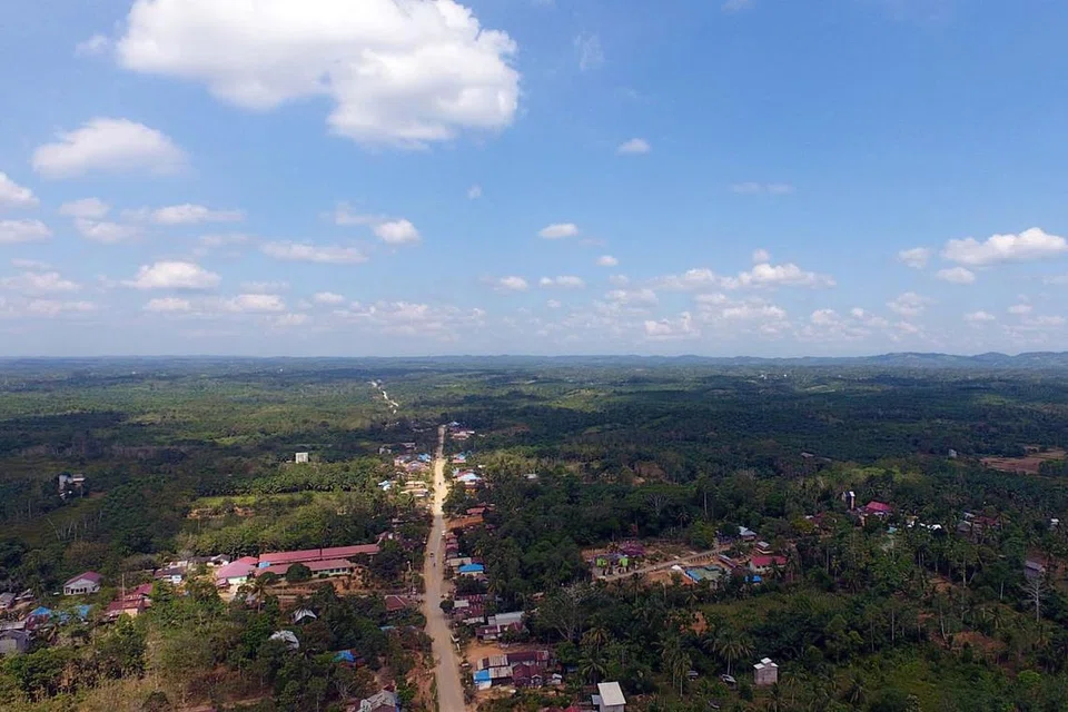 BAKAL JADI IBU KOTA: Inilah gambaran wilayah Sepaku, Penajam Paser Utara, yang diuar-uarkan bakal menjadi ibu kota Indonesia yang baru. - Foto EPA-EFE