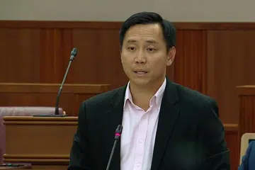Goh Pei Ming, Mental Capacity Act 