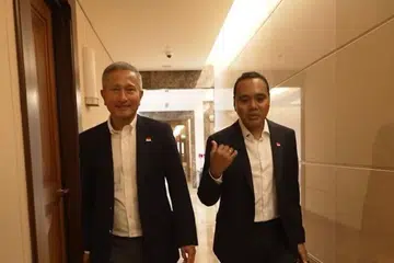Zhulkarnain Abdul Rahim, Dr Vivian Balakrishnan, mfa