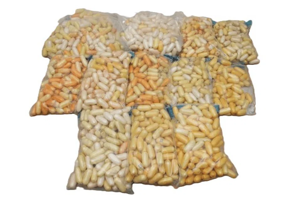 Para pegawai CNB menemui sekitar 26.9 kilogram kokain dan 10 gram kanabis dalam bagasi milik dua wanita.