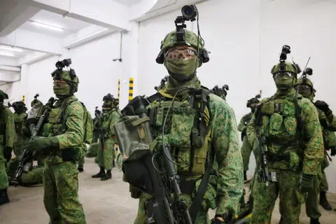 Selain daripada melaksanakan operasi termasuk respons terhadap ancaman keselamatan dalam negara dan bantuan bencana, Pasukan Pengerahan Tentera Darat (ADF) yang kesemuanya terdiri daripada askar tetap itu turut bergabung dengan pelbagai Pasukan Petugas SAF dan agensi Pasukan Home Team bagi memastikan respons antara agensi yang tegas dan terselaras.