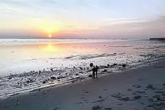 AKAN DIMAJUKAN: Pulau Carey yang menghadap Selat Melaka akan dimajukan dalam projek bandar pelabuhan dan perindustrian berskala besar dengan pelaburan infrastruktur bernilai lebih RM200 bilion ($66.6 bilion) meliputi kawasan seluas lebih 100 kilometer persegi, dua kali ganda daripada saiz Putrajaya. - Foto THE STAR