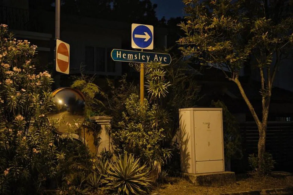 VIRUS KEMBALI LAGI: Virus nyamuk berjangkit Zika kembali lagi, malah pada Jumaat, NEA mengesahkan tiga kes jangkitan virus Zika di Hemsley Avenue di Serangoon Gardens, menjadikan jumlah kes Zika pada tahun ini menjadi 10. - Foto BH oleh Mark Cheong.