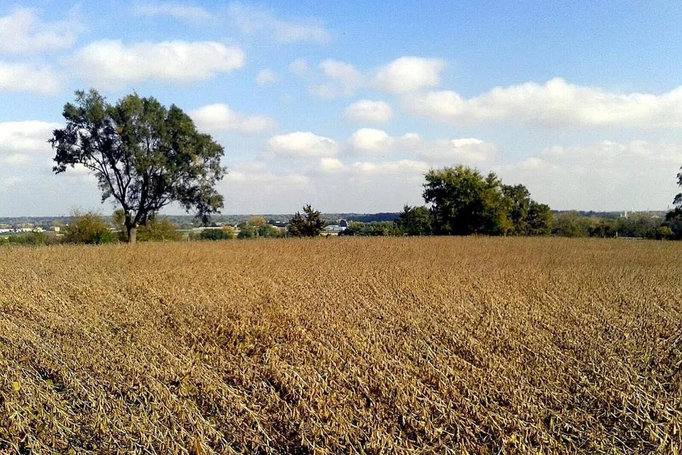 DIIKTIRAF SEBAGAI BANDAR KESUSASTERAAN: Suasana yang damai seperti pemandangan ladang di Iowa, bersulam dengan acara sastera yang rancak menyubur segar jiwa penulis. - Foto-foto AMANAH MUSTAFI