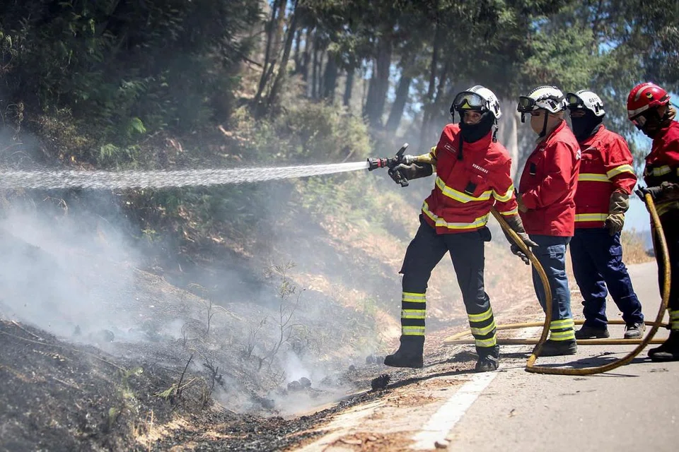 KONTANG AIR: Cuaca panas turut menyaksikan anggota bomba bekerja lembur bagi mengatasi insiden kebakaran hutan yang semakin kerap dan mengancam keselamatan penduduk (gambar atas). - Foto AFP