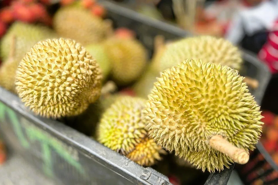 Bagi mengekalkan rasa semula jadi durian, Encik Samsul berkata isi durian yang segar tidak dicampur dengan bahan lain.