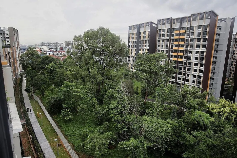 HAIWAN DILINDUNGI: HDB bekerjasama dengan NParks bagi mengekalkan anak bukit di Bidadari ini bagi burung hijrahan. - Foto HDB