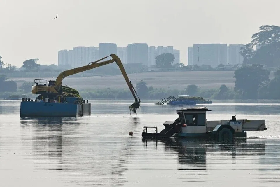 Projek ladang solar, jana 6.5% sasaran kapasiti tenaga solar S’p, Kolam Air Lower Seletar