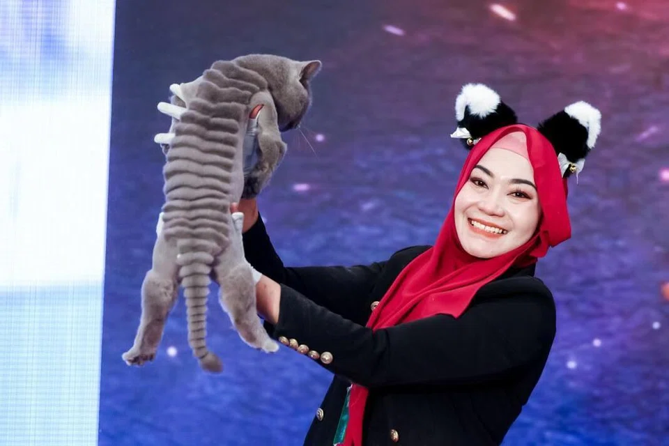 Cik Zee Azmi berjaya menambat tempat ketiga dengan gaya dandanan ‘naga’ bagi dua pertandingan dandanan kucing yang berlangsung di Bandar Jiaxing, Wilayah Zhejiang, China pada 16 Ogos.