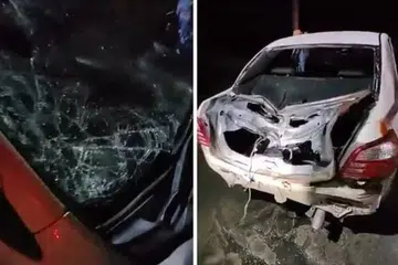 Malaysia, Perak, gajah, kereta, amuk