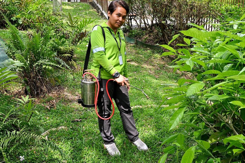 Cik Norhayati Samsudin mengatasi rasa takutnya terhadap serangga dan tikus dalam menjalankan tugas sebagai pengawal perosak demi menyara keluarga.