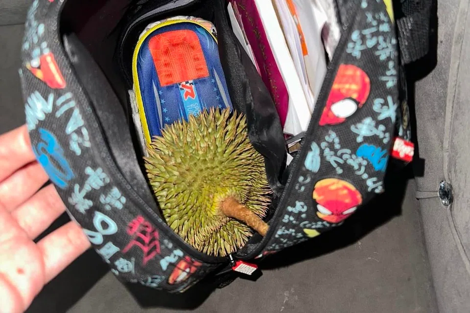 Menurut Cik Nur Syazwani Alia Hassan Basri, Affan sendiri yang memilih durian itu dan memasukkan buah tersebut ke dalam beg sekolah pada malam sebelumnya.