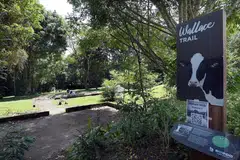 DILUASKAN: Jejak Wallace di Taman Semula Jadi Dairy Farm telah diperpanjang dari 1km menjadi 2.2km. Ia kini menuju ke stesen MRT Hillview dan merangkumi dek baru yang memberikan pemandangan hutan kepada pengunjung. - Foto fail