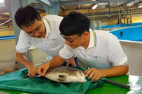 PUSAT AKUAKULTUR MARIN PENGUASA PERTANIAN-MAKANAN DAN TERNAKAN. - Foto MAC