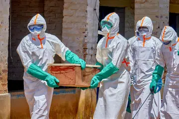 wabak ebola