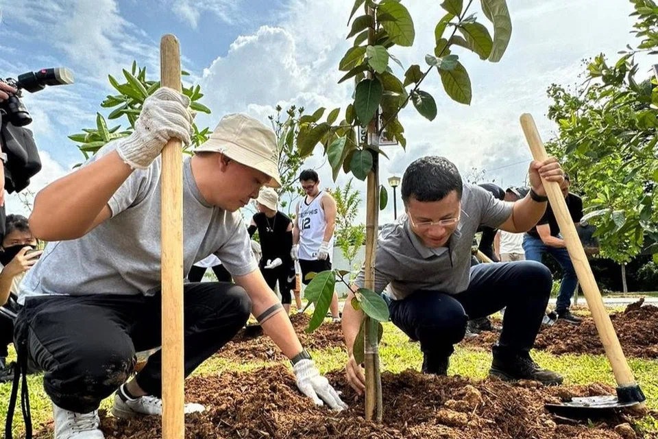 TANAM POKOK: Bagi memperingati majlis pembukaan bahagian baru Taman Pasir Panjang, Menteri Pembangunan Negara, Encik Desmond Lee (kanan), yang juga Anggota Parlimen GRC West Coast, menyertai penduduk kawasan itu untuk menanam pokok di taman tersebut.