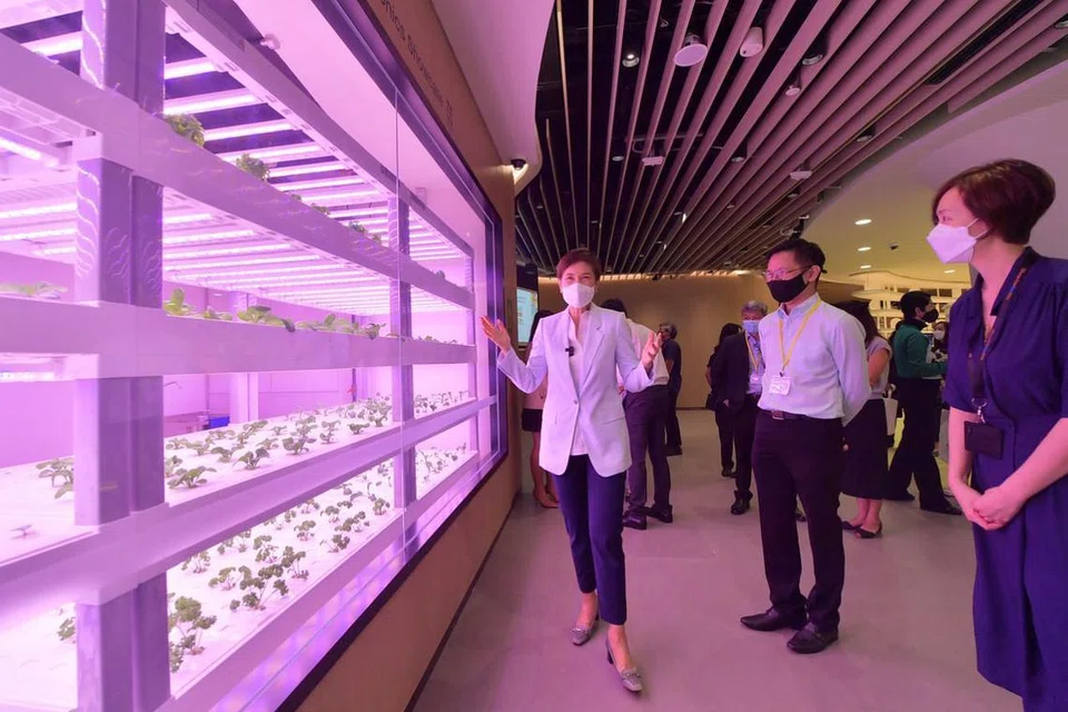 Foto BH oleh ALPHONSUS CHERN