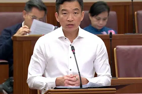 Eric Chua, parlimen