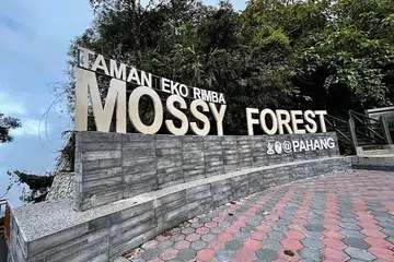 Hutan simpanan di Cameron Highlands, termasuk Taman Eko Rimba Mossy Forest, akan ditutup sementara susulan cuaca buruk dan ribut petir.