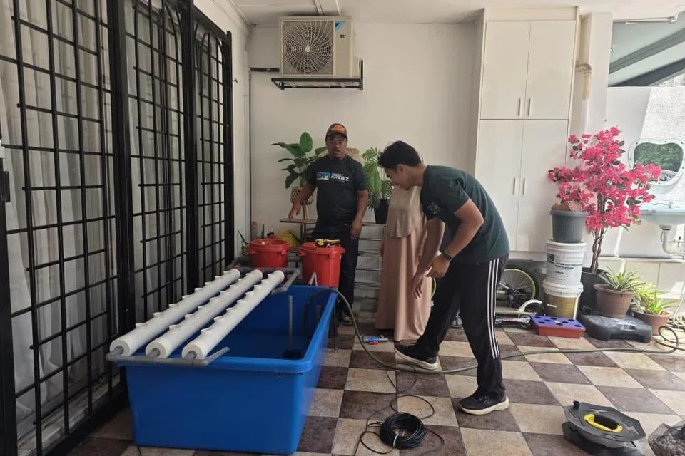 Pemilik Secret Krebiz Aquaventures, Encik Aqran Ismail (kiri ) yang membekalkan sistem akuaponik untuk pertanian dan ternakan memasang kelengkapan itu di rumah seorang pelanggan di Kuala Lumpur.