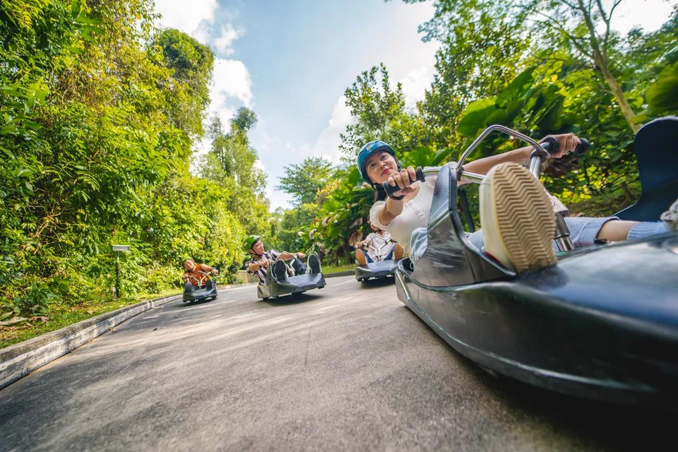 Skyline Luge